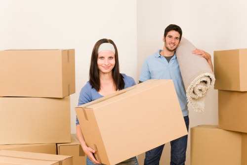 Removalists managing apartment access and moving boxes in Acton